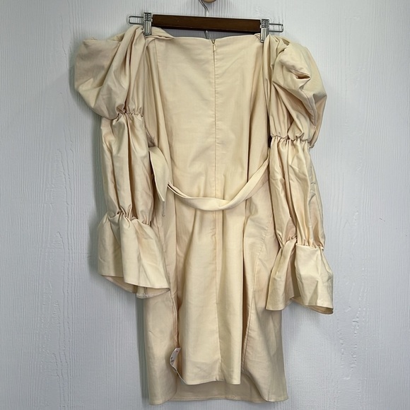 ASOS - NWT Luxe Curve Strength Detachable Belted Extreme Sleeve Dress Size 14 - Picture 11 of 12